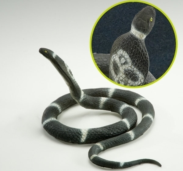 Sarpe Cobra urias 190 cm