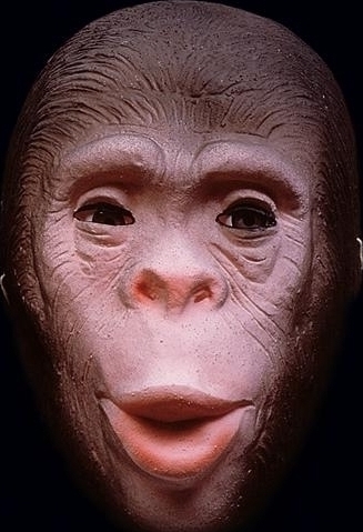 Masca de Om-Gorila