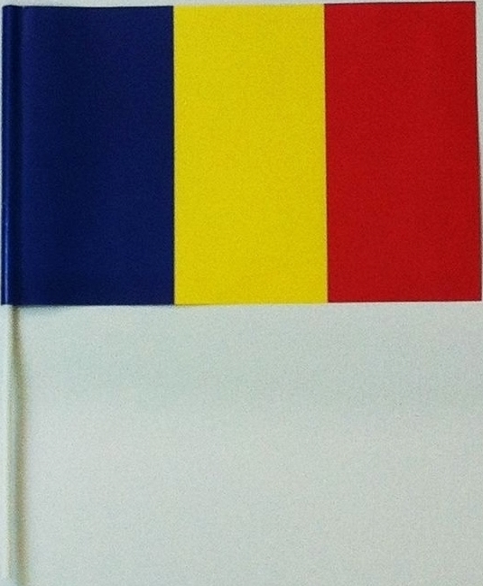 Stegulet Romania 16x24cm cu betisor