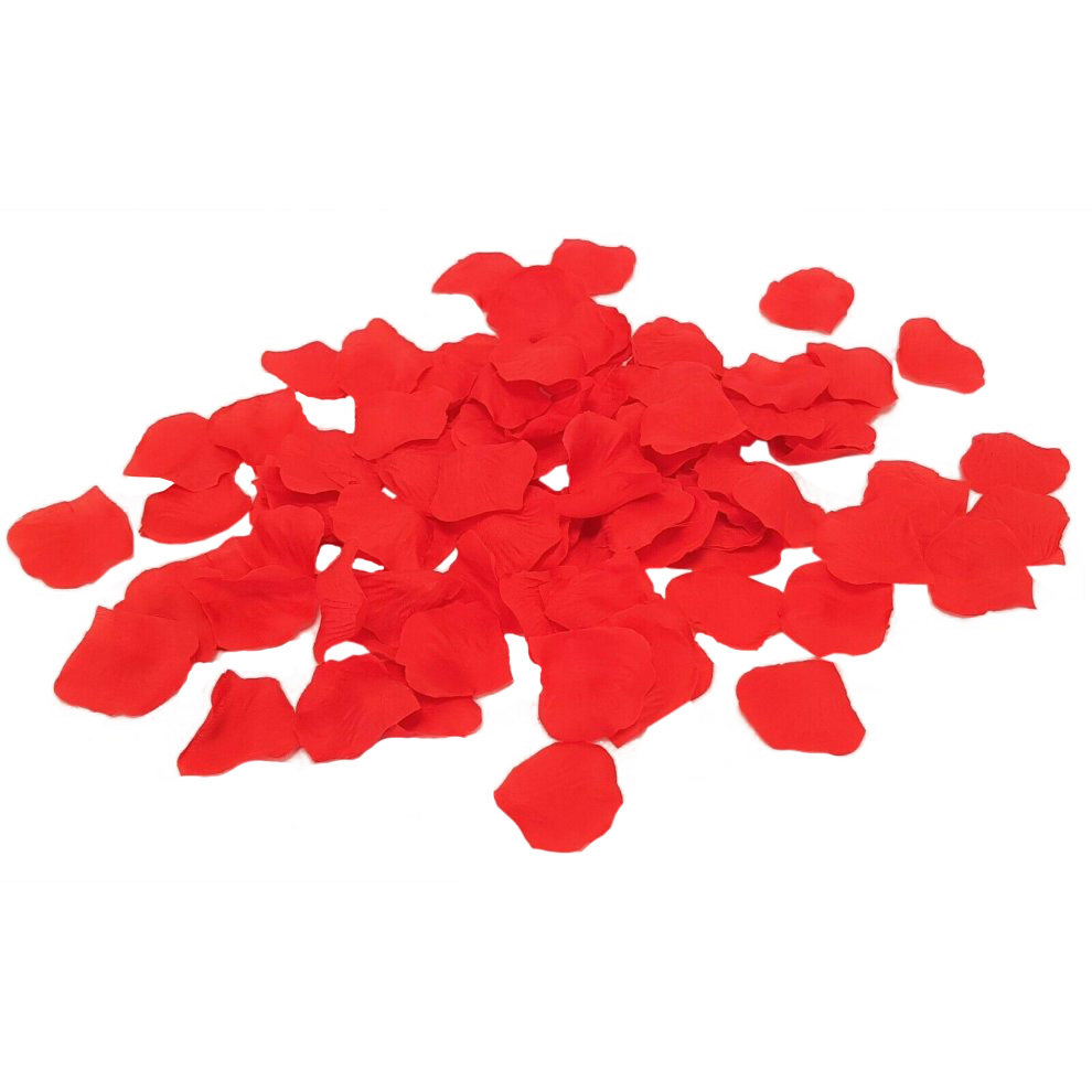 Petal Trandafir Rosu Aprins, Nr. 1, Carnaval24