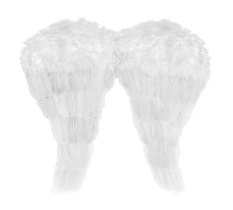 Pereche Aripi Inger Albe 52x45cm, Nr. 1, Carnaval24