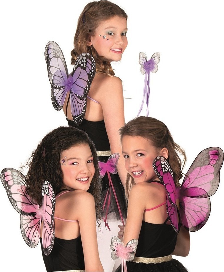 Accesorii Carnaval - Set Aripi si Bagheta Fluturas, Multicolor, Carnaval24