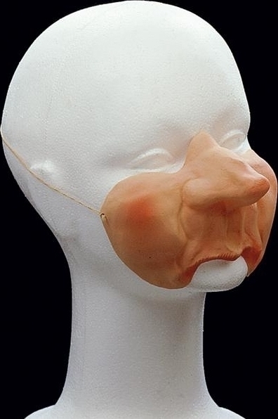 Accesorii Carnaval Copii - Masca Haioasa No.8, Carnaval24