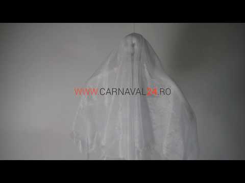 Fantoma Cu Sunet Si Miscare, Nr. 2, Carnaval24