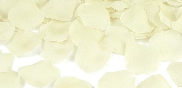 Accesorii Carnaval - Petale Trandafir, Alb, Carnaval24