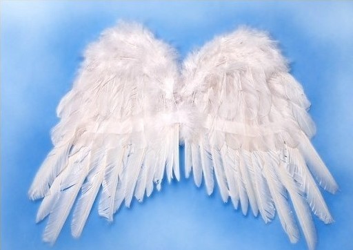 Pereche Aripi Inger Albe 53x37cm, Nr. 2, Carnaval24