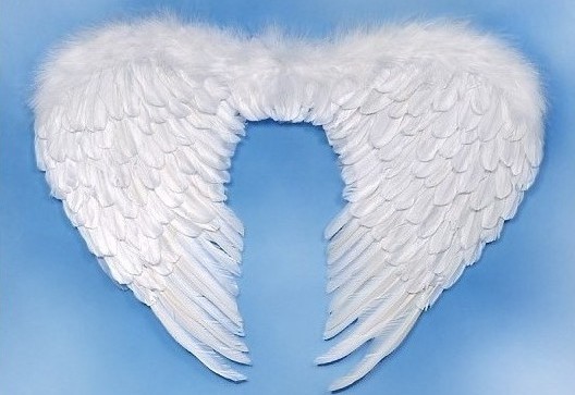 Pereche Aripi Inger Albe 76 x 55 cm, Nr. 2, Carnaval24