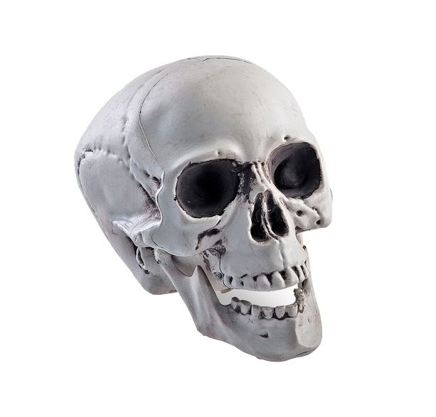 Craniu decorativ , Nr. 2, Carnaval24